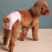 Resim 10 adet Köpek Bezleri, Emici Evcil Hayvan Eğitimi Pantolonları, Yıkabilir ve Tekrar Kullanılabilir Köpek Bezleri, Dişiler, Erkek Köpekler, Ağaç Lifli Malzeme ile Tüm Irklar için 