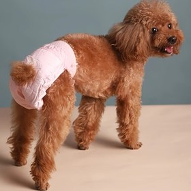 Resim 10 adet Köpek Bezleri, Emici Evcil Hayvan Eğitimi Pantolonları, Yıkabilir ve Tekrar Kullanılabilir Köpek Bezleri, Dişiler, Erkek Köpekler, Ağaç Lifli Malzeme ile Tüm Irklar için 