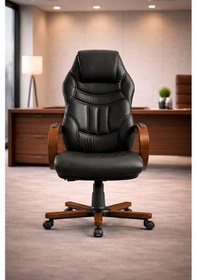 Resim Magıc Premium Yönetici Ofis Ve Büro Koltuğu Anatomik Tasarım Lüks Oturum Konforu Siyah 