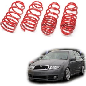 Resim Skoda Fabia Spor Yay Helezon 45MM/45MM 2000-2008 Coil-Ex 