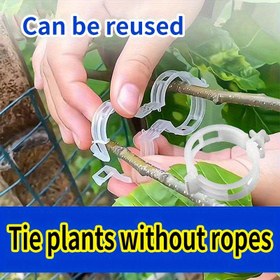 Resim 100/500 adet Dayanıklı Plastik Bitki Klipsleri| Basit Çıtçıt Tasarımı| Yeniden Kullanılabilir Bahçe Desteği| Sebzeler, domatesler ve tırmanıcı bitkiler için uygun| Hava Koşullarına Dayanıklı Bitki Eğitim Klipsleri 