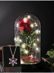Resim Lapidaria Cam Fanus Içerisinde Peri Led Işıklı Solmayan Kırmızı Gül Lamba Ve Lotus Kamelya Çiçeği Kolye 