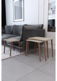 Resim Zigon Sehpa & Yan Sehpa 3'Lü Ahşap Ayaklı Salon Seti - Sonomo 