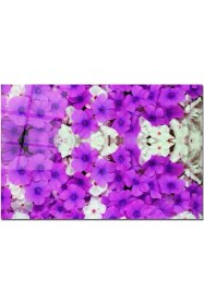 Resim Aylina Baskılı Cam Kesme Tahtası |temperli Cam | 25 x 35 cm 