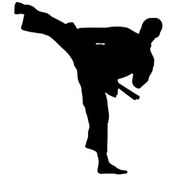 Resim Karate - Araç, Oto, Laptop, Duvar Uyumlu Sticker 25 27 Cm 