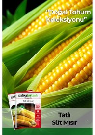 Resim 50 Adet Tatlı Mısır Tohumu 