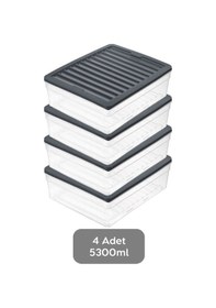 Resim 4'lü Derin Buzdolabı Organizer Set Düzenleyici Saklama Kabı Mikrodalga Difriz Kabı 5300 ML Antrasit 