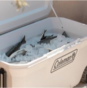 Resim Coleman Soğutucu Buzluk - Coleman - Xtreme Wheeled 100 QT Tekerlekli - 94.6 lt - Beyaz 