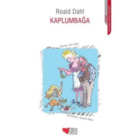 Resim Kaplumbağa 