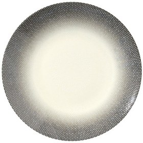 Resim Güral Porselen Digibone Serisi Düz Tabak 25 Cm 4 Adet Renkli 