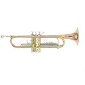 Resim Roy Benson TR-202G Bb Trompet 