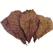 Resim Akvaryumu Temizlemek, Su Kalitesini Artırma, PH Seviyesini Ayarlamak, Balıklar İçin Daha İyi Bir Ortam Oluşturma ve Balıklar ve Kaplumbağalar İçin Gizlenme Yerleri Olarak Uygun, Ayrıca Akvaryum Dekorasyonu İçin Uygun. 