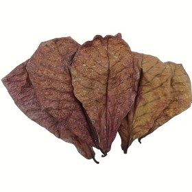 Resim Akvaryumu Temizlemek, Su Kalitesini Artırma, PH Seviyesini Ayarlamak, Balıklar İçin Daha İyi Bir Ortam Oluşturma ve Balıklar ve Kaplumbağalar İçin Gizlenme Yerleri Olarak Uygun, Ayrıca Akvaryum Dekorasyonu İçin Uygun. 