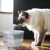Resim Yeni çeşme şekilli otomatik evcil hayvan su dağıtıcı, büyük köpekler için otomatik kedi suyu fıskiyesi - kedi tasarımlı - kediler için uygun - kapasite - köpekler için de kullanılabilir 