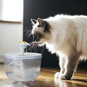 Resim Yeni çeşme şekilli otomatik evcil hayvan su dağıtıcı, büyük köpekler için otomatik kedi suyu fıskiyesi - kedi tasarımlı - kediler için uygun - kapasite - köpekler için de kullanılabilir 