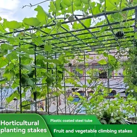 Resim 27 Parça Çok Fonksiyonlu Bahçe Destek Direkleri - Dayanıklı Metal Çekirdek, 12 Destek Çubuğu, 3 Tip A Bağlantı Elemanı, 6 Bağlantı Tüpü, 6 Plastik Kaplamalı Evrensel Toka, Antioksidan, Kolay Yerleştirme, Tırmanma Bitkileri, Asma Bitkiler, Meyve ve Sebzeler İçin Uygun 