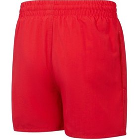 Resim Speedo Essential Erkek Çocuk Şort Mayo 
