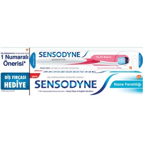 Resim Sensodyne Naneli Diş Macunu+Diş Fırçası 75 Ml 