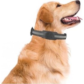Resim Buff Tagsafe Dogcol Taşınabilir Anahtarlık Airtag Kılıf, Köpek Tasması İle Uyumlu, Kaybolma Önleyici Koruyucu Kılıf Siyah 