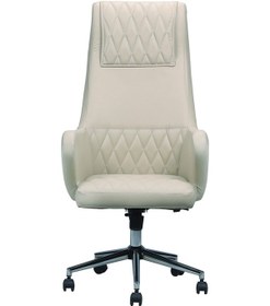 Resim Oldea Bej Rengi Makam Koltuğu Ofis Koltuğu Büro Koltuğu Bilgisayar Koltuğu Siyah 