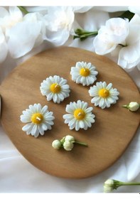 Resim Bernami Vazo Pinterest 20 Adet Kraft Kutulu Papatya Mum Hediyelik, Nişan, Düğün, Sünnet, Söz, Kına, Doğum Günü Diğer 