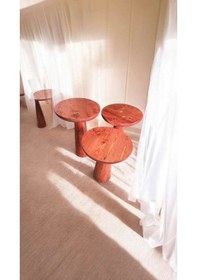 Resim Ahşap Mantar Sehpa 3 Lü Set Maun Renk Masif Doğal Zigon Fiskos Takımı - Wooden Side Table Maun 