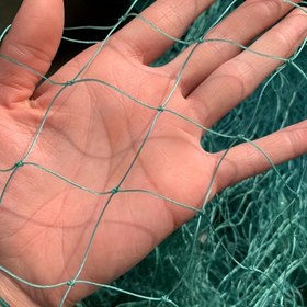 Resim 2 metre yükseklik, 10 metre uzunluk, kalınlaştırılmış ağ dış mekan bitki tırmanma ağı çiftlik bahçe çit koruma ağı yetiştirme ağı ev bahçesi örtü ağı meyve bahçesi üzüm bağı koruma ağı 