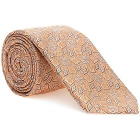 Resim Pierre Cardin Erkek Mercan Kravat 50313291-550 Mercan 