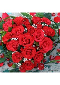 Resim Tüplü Yediveren Hybrid Tea Roses Amore Fc Soğuklara Dayanıklı Masal Gülü Fidanı 