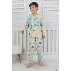 Resim Stegosaurus Desenli Erkek Çocuk Pijama Takımı 