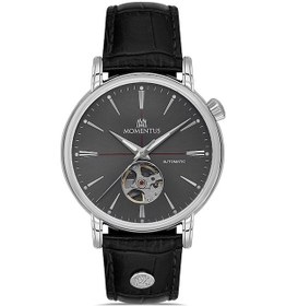 Resim Momentus Men's Time Masters Tm349s-04bs Erkek Kol Saati 