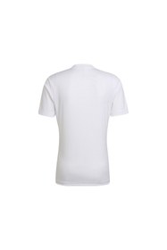 Resim adidas Entrada 22 Forma 