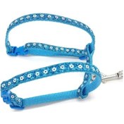 Resim Büro Ev Evcil Hayvanı İçin Parlak Kedi Gezdirme Göğüs Tasması 