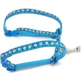 Resim Büro Ev Evcil Hayvanı İçin Parlak Kedi Gezdirme Göğüs Tasması 