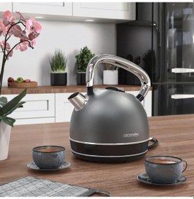 Resim Arendo Retro Su Isıtıcısı 1.7l, 2200w, Kireç Filtresi, Paslanmaz Çelik, Otomatik Kapanma Su Isıtıcılar Koyu Gri 