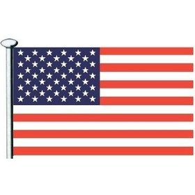 Resim Saray Amerika Bayrağı 50X75 