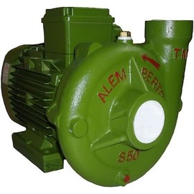 Resim Alem Bertola S50 3Hp Trifaze Santrifüj Pompa 