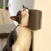 Resim Alan Tasarrufu Duvar Monte Kedi Tırmalama ve Bakım Fırçası - Dayanıklı PP Malzeme, Kolay-Kurulum Tutkal Bantları, Yavrular ve Küçük Köpekler için İdeal, Rahat Pet Bakım Aracı, Kedi Tırmalama Direği|Duvar Monte Kedi Tırmalama|Plastik Yapı, Kedi Tırmalama Direği 