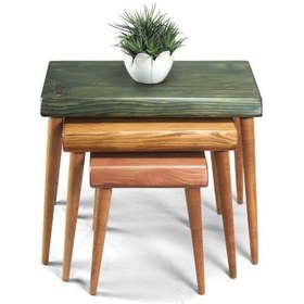 Resim Entema724 Doğal Ağaç Masif Kütük 3’Lü Zigon Sehpa (516601279) 