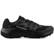 Resim Salomon Alphaglide Gtx Erkek Koşu Ayakkabı L47802100 Renkli Renkli Çok Renkli 