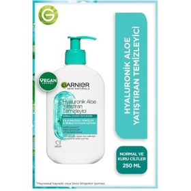 Resim Garnier Hyaluronik Aloe Nemlendiren ve Yatıştıran Temizleyici 250 ML 