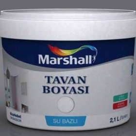 Resim Marshall Tavan Boyası Küçük 