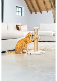 Resim Beeztees Dbl Kedi Tırmalama Ve Oyuncağı, Açık Gri, 35x35x50cm 