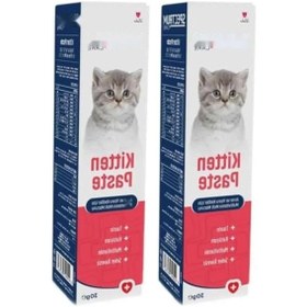 Resim Multivitaminli Malt Paste 30 Gram 2'li Paket 