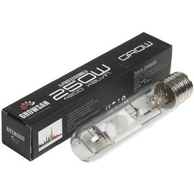 Resim Growsan 250w MH Gelişim Dönemi 