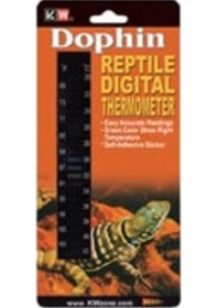 Resim Dophin Sürüngen Dijital Derece 
