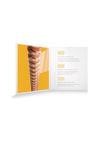 Resim D'addario Xsapb1256 Xs Phosphor Bronze Akustik Gitar Tel Seti 1 