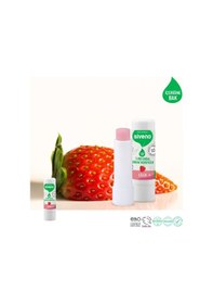 Resim Siveno %100 Doğal Dudak Koruyucu Çilek Bitkisel Lip Balm Dudak Kremi Nemlendirici Parlatıcı Onarıcı 6 G 