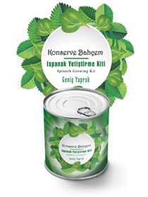 Resim EASERA TİCARET Easera ticaret® Konserve Bahçem Evde Konservede Kolay Ispanak Yetiştirme Kiti 