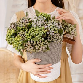 Resim 5 Adet Gerçekçi Yeşil & Pembe Yapay Meyve Sapları - DIY Noel Çelenkleri, Düğün Buketleri & Ev Mutfak Parti Süslemeleri için Canlı Kurutulmuş Holly Meyveleri, Noel Meyveleri 